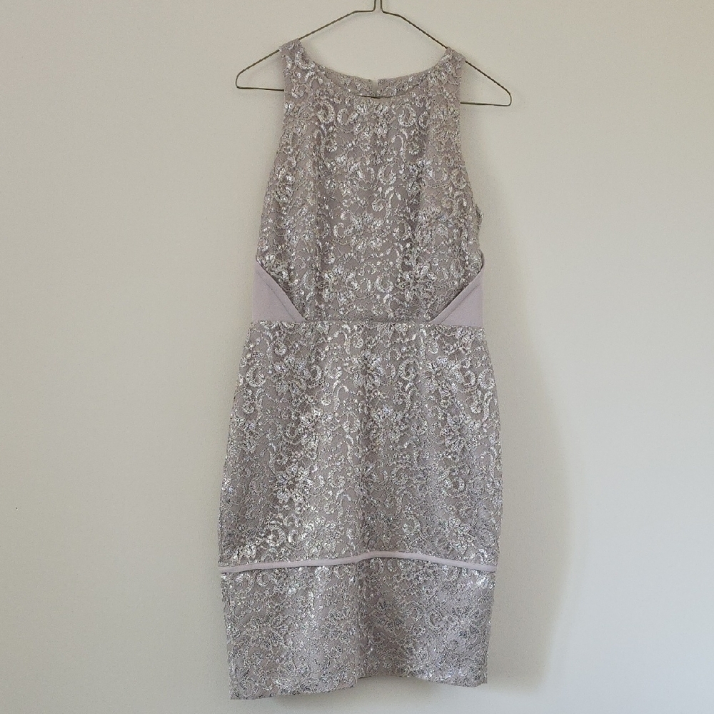 Elegant Silver Lace Dress